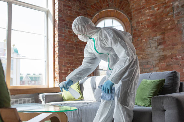 Best Mold Prevention Services in La Porte, TX