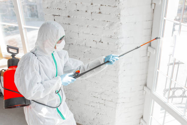 Best Residential Mold Inspection & Testing in La Porte, TX